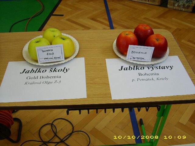 img00317.jpg