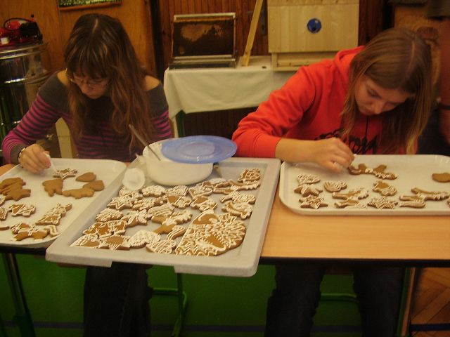 img00331.jpg