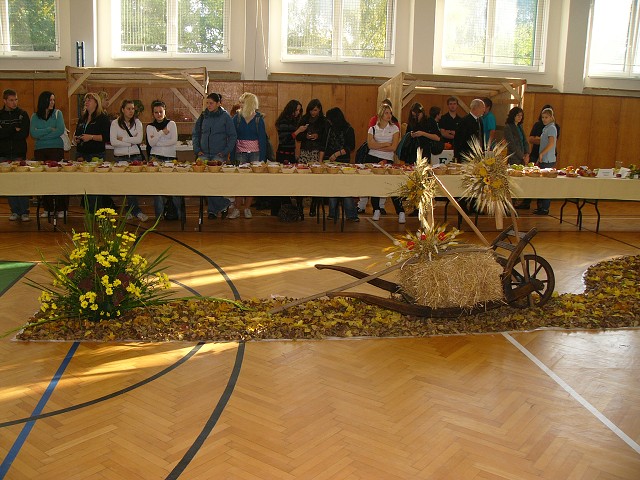 img00240.jpg