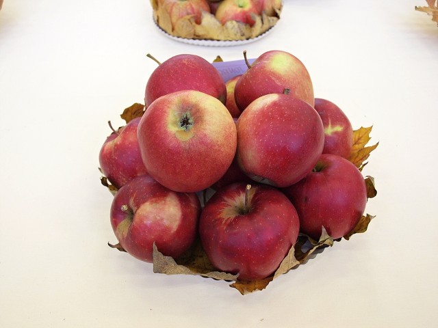 img00118.jpg