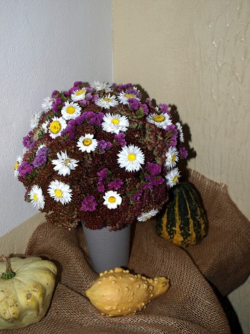 img00127.jpg
