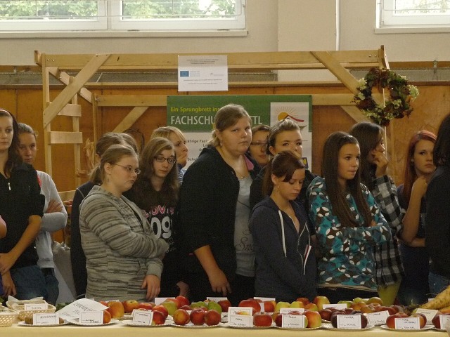 img00238.jpg