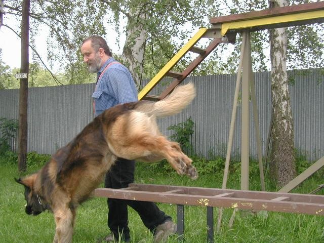 img00012.jpg