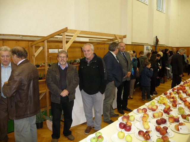 img00140.jpg