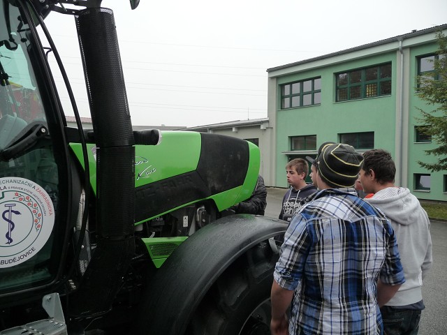 img00215.jpg