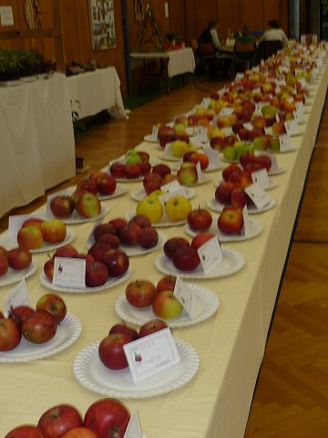 img00262.jpg