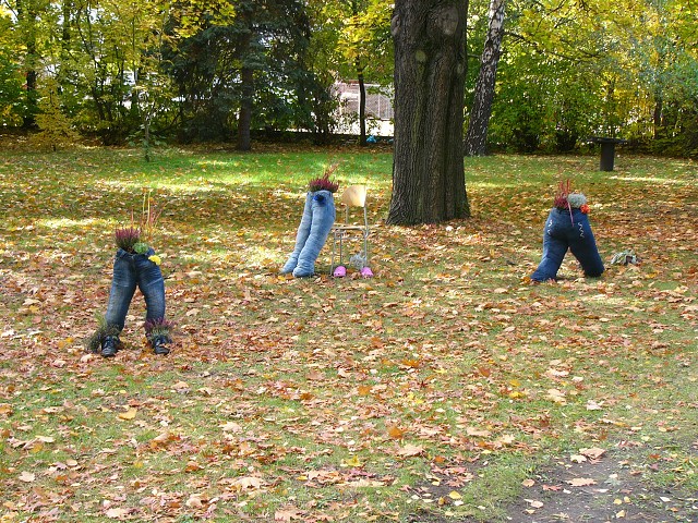 img00360.jpg