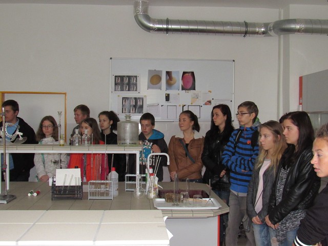 img00087.jpg