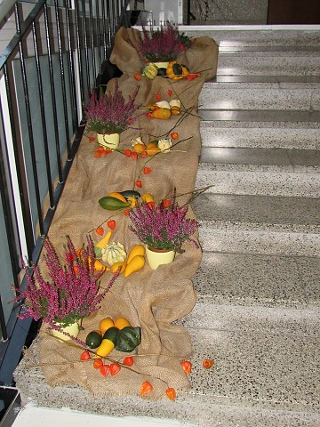 img00225.jpg