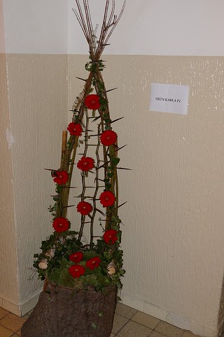 img00487.jpg