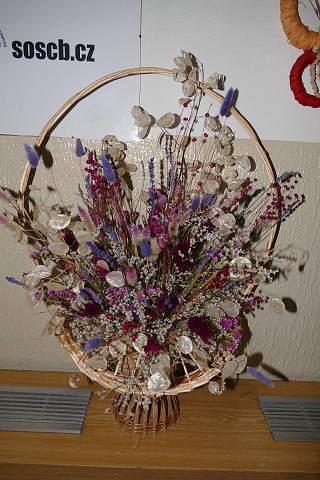 img00536.jpg