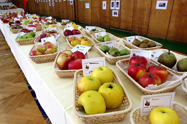 img00002.jpg
