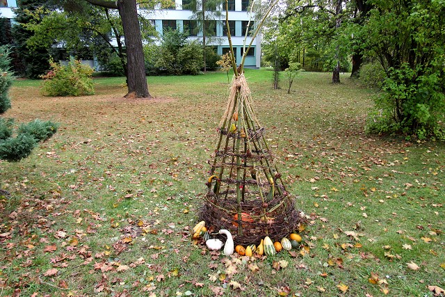 img00118.jpg