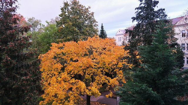 img00001.jpg