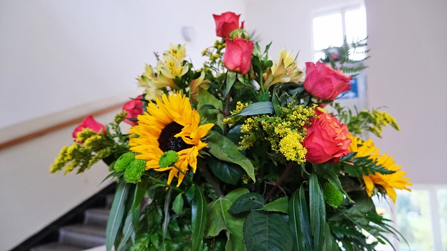 img00002.jpg