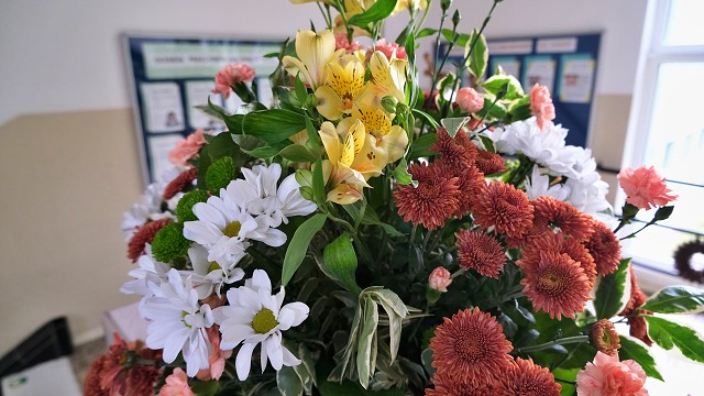 img00003.jpg