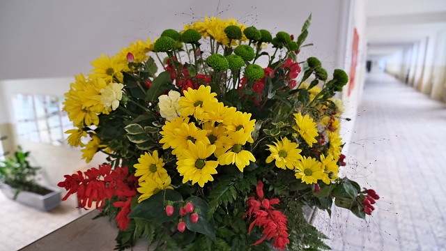 img00004.jpg