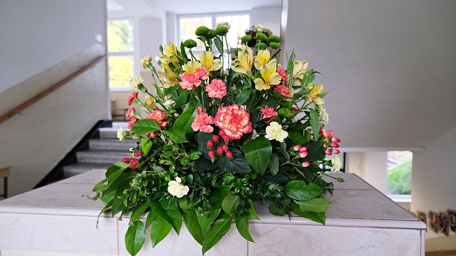 img00005.jpg