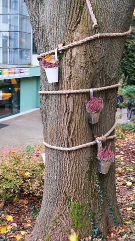 img00018.jpg