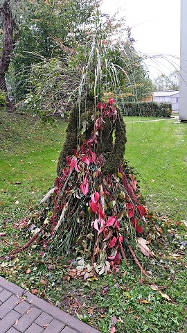 img00020.jpg