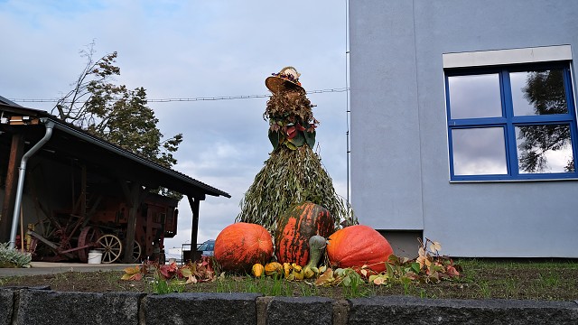 img00022.jpg