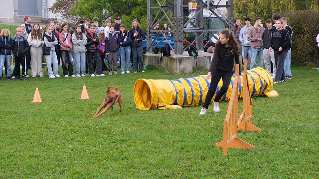 img00037.jpg