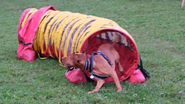 img00038.jpg