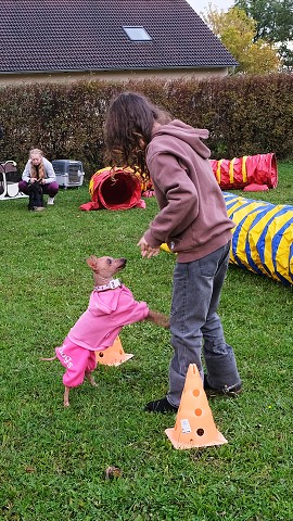 img00040.jpg