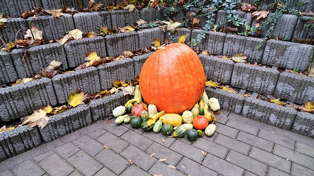 img00044.jpg