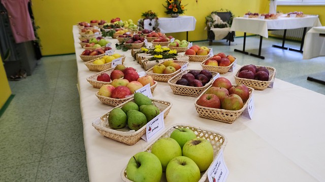 img00049.jpg