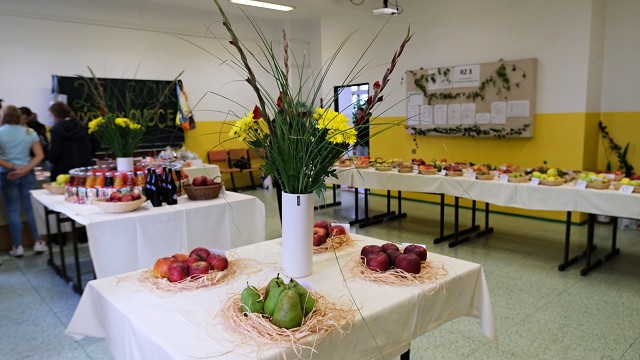 img00052.jpg